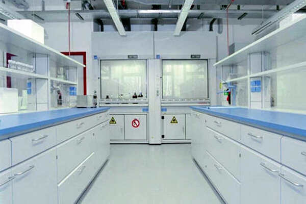 在建立環(huán)境監(jiān)測(cè)部門(mén)的基礎(chǔ)上建立實(shí)驗(yàn)室！