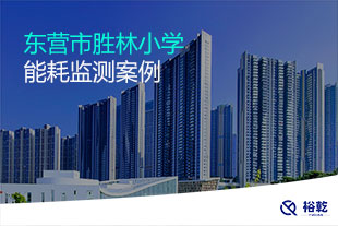 東營(yíng)市勝林小學(xué)能耗監(jiān)測(cè)系統(tǒng)案例